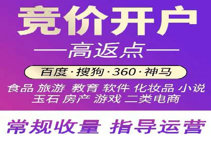 SEM竞价代运营公司案例深度解析